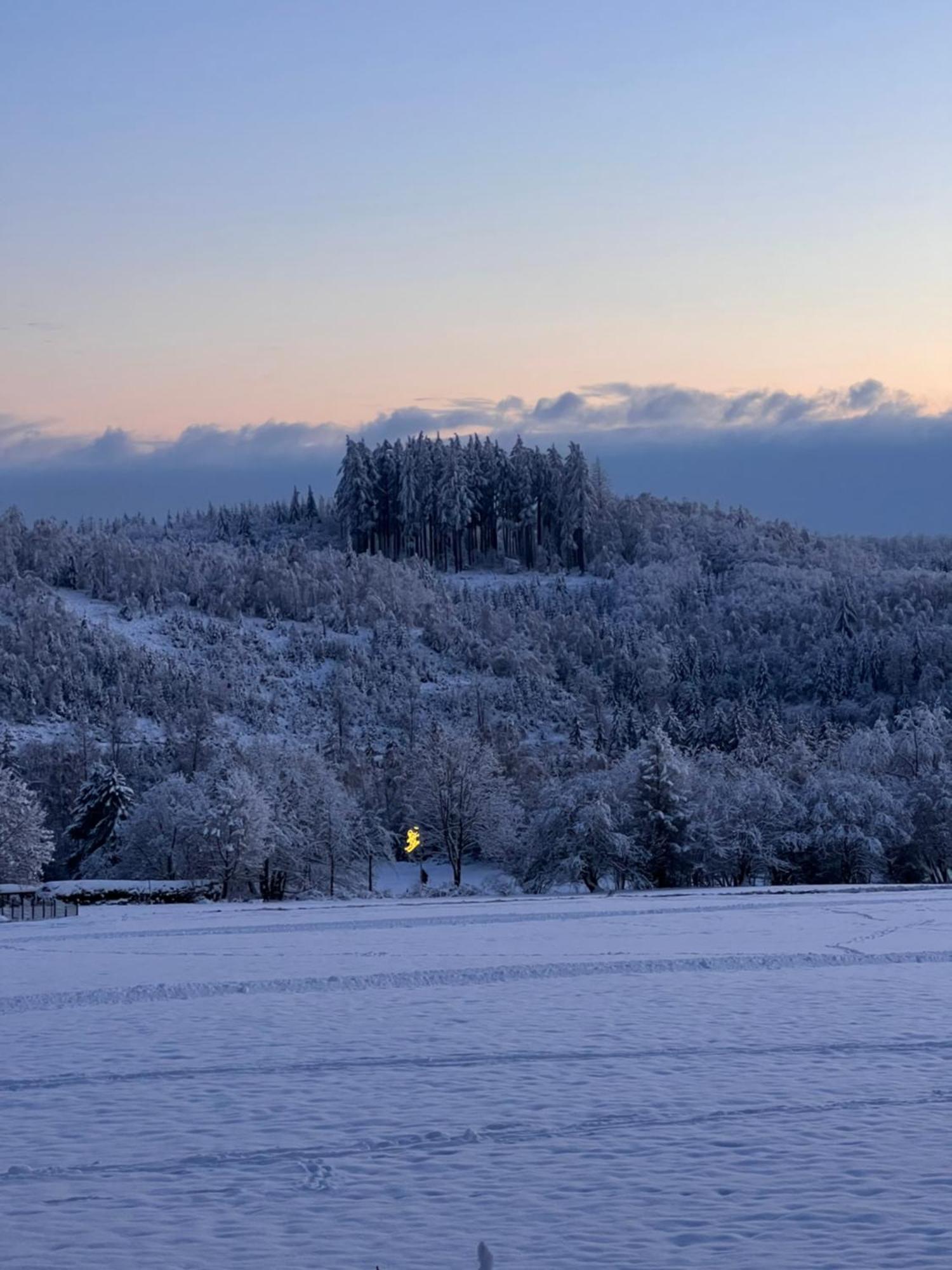 Chalet627 Braunlage Eksteriør bilde